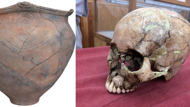 скелет японска история